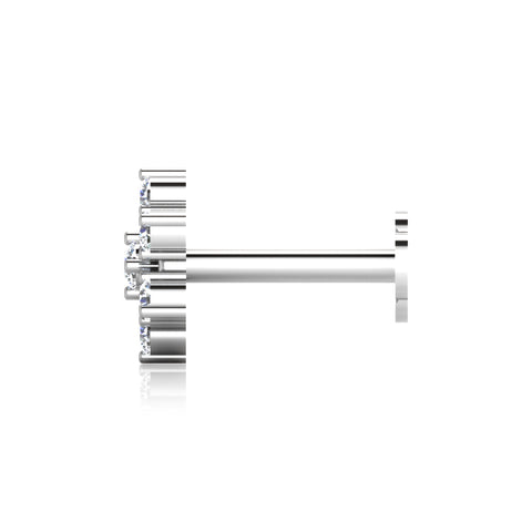 Hyacinth Silver Nose Screw